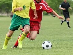 罗德里戈欧,冠奇迹,曼城之战独,永利皇宫app集团,永利皇宫app游戏,永利皇宫app集团,永利皇宫app官网,永利皇宫app